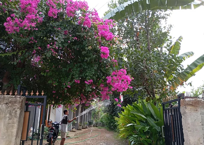 Wl Guesthouse