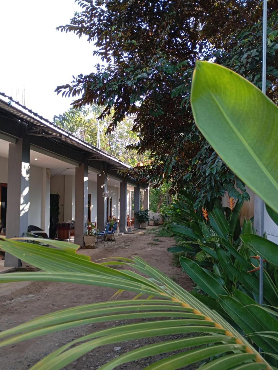 Hostel Wl *
