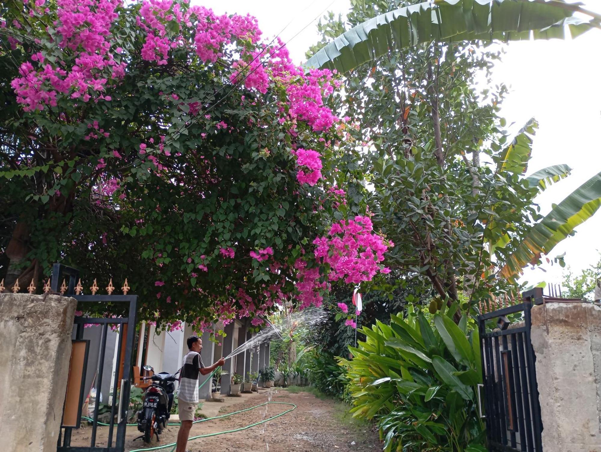 Hostel Wl Labuan Bajo